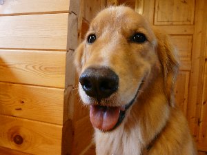 ファイル 543-1.jpg