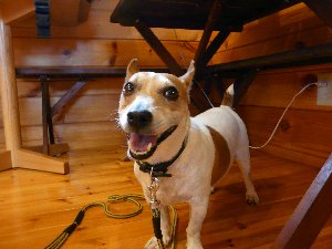 ファイル 543-2.jpg