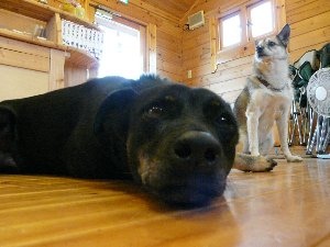 ファイル 543-3.jpg