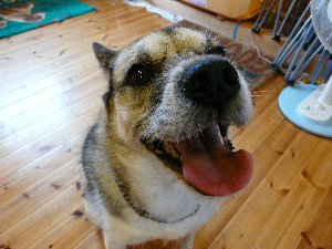 ファイル 543-4.jpg